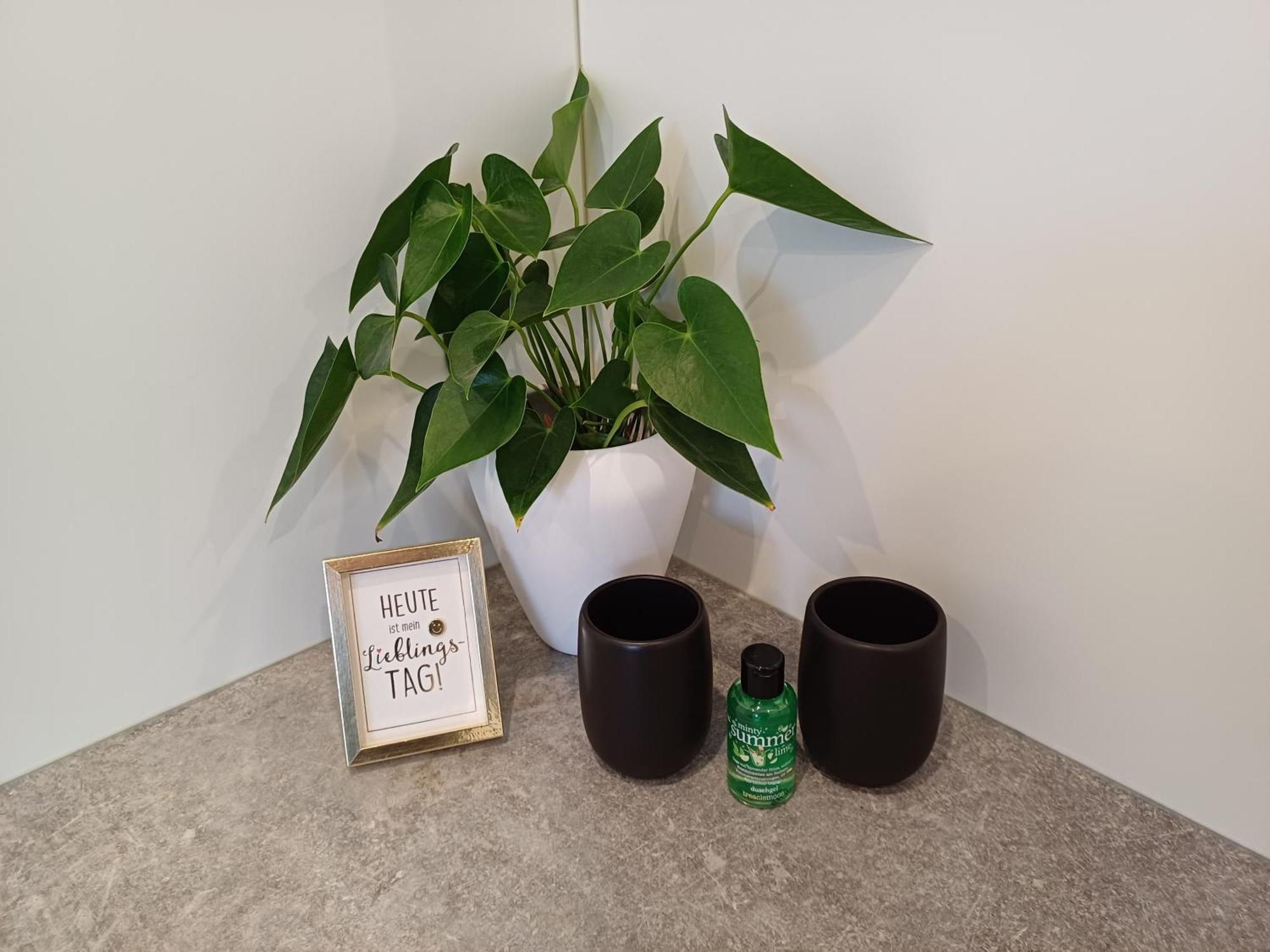 Wussegel Appartement